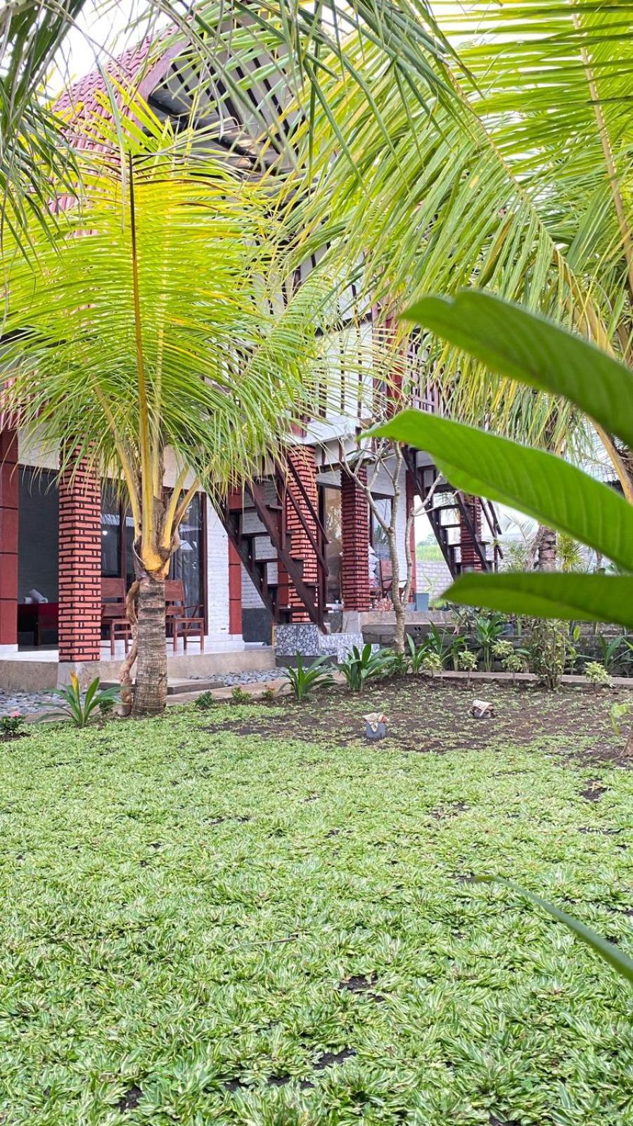 Alen'S Stay&Surf Airsatang Ngoại thất bức ảnh